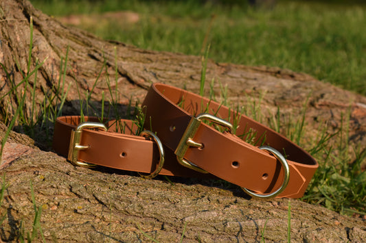 Bare Leather Dog Collar