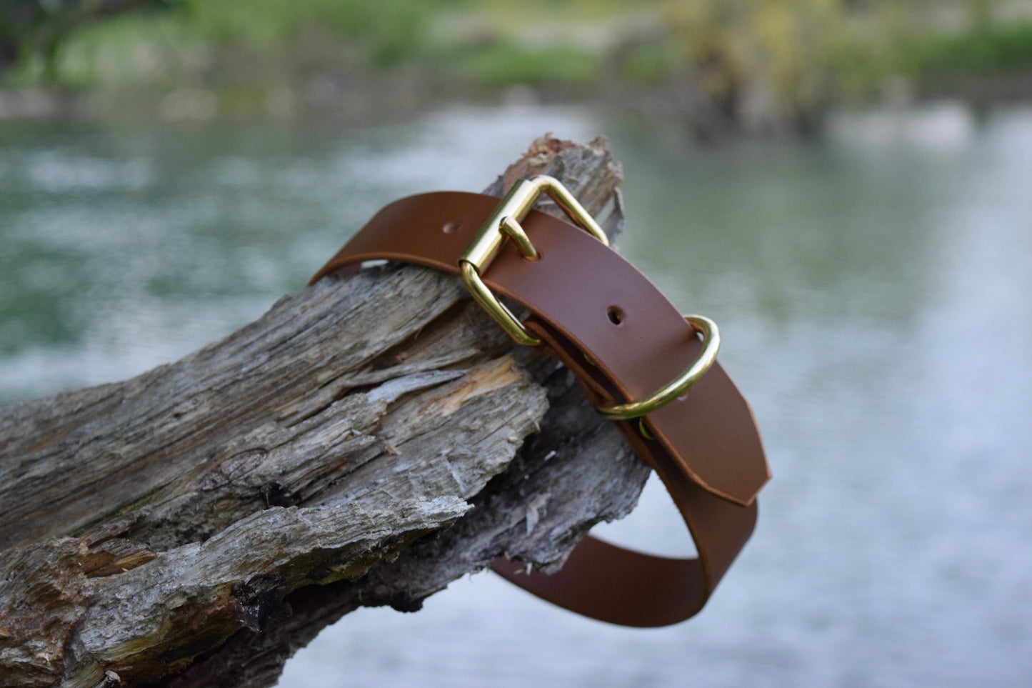 Bare Leather Dog Collar