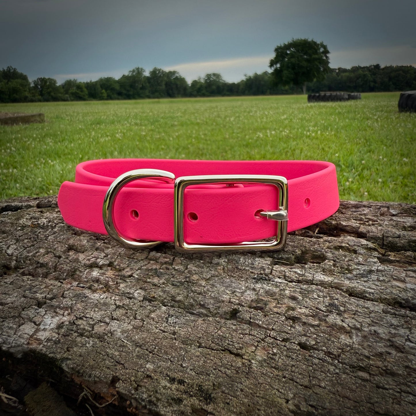 Biothane Dog Collar