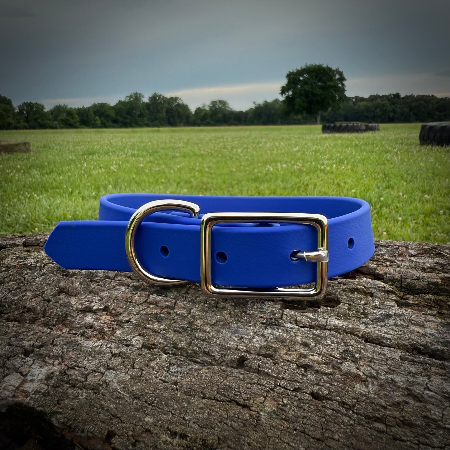 Biothane Dog Collar