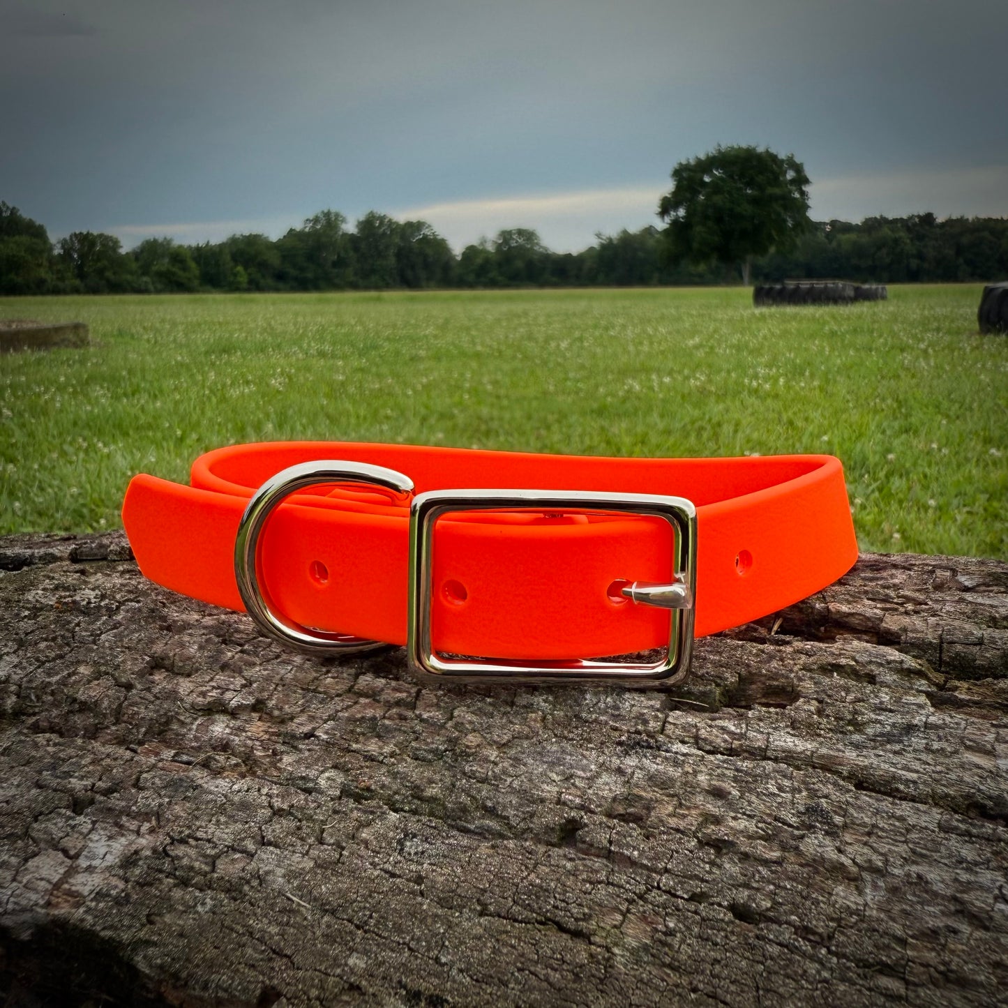 Biothane Dog Collar